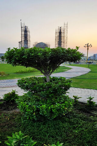 Royal Orchard Mosque