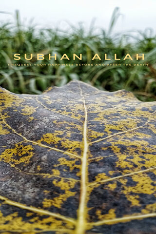 Nature's Serenity: A Moment of Reflection 🌿✨