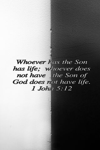 1 John 5:12