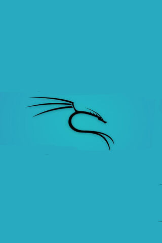 Kali Linux Blue