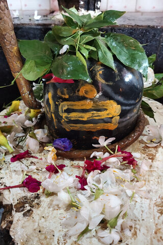 Divine Blessings: The Sacred Shivling