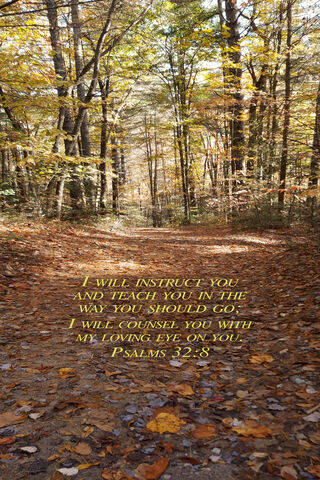 Guided by Grace 🌳✨