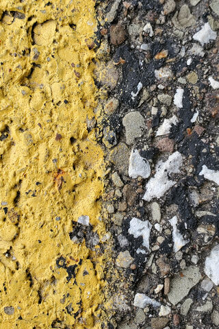 The Colors of Heritage: A Glimpse of Badshahi Mosque
