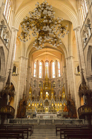 Majestic Light: The Heart of the Cathedral ✨
