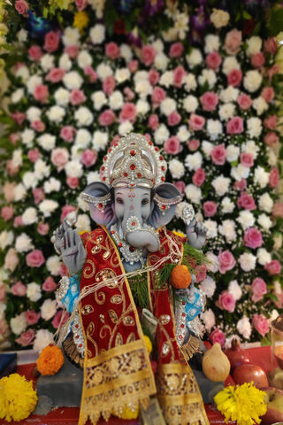 Divine Blessings of Ganeshji 🌺🙏