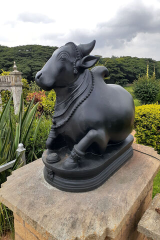 Majestic Nandi: The Guardian of Shiva 🐂✨