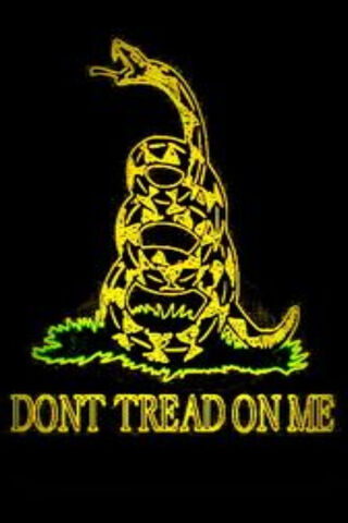 Liberty's Call: The Gadsden Flag