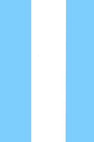 Waving the Flag of Argentina 🇦🇷