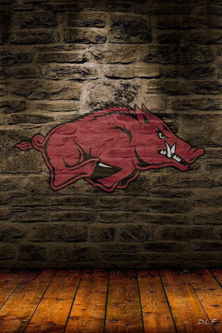 Razorback Pride: Arkansas 2020
