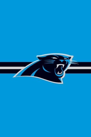 Roaring Pride: The Carolina Panthers Spirit 🐾💙