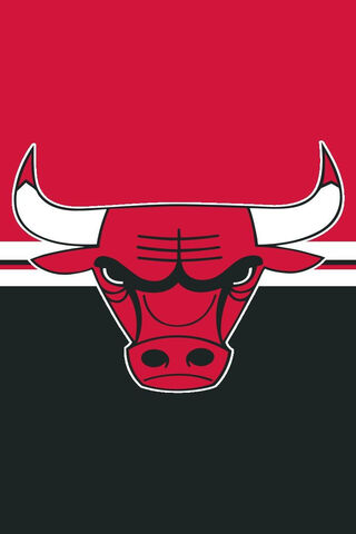 The Iconic Chicago Bulls Logo 🏀🐂