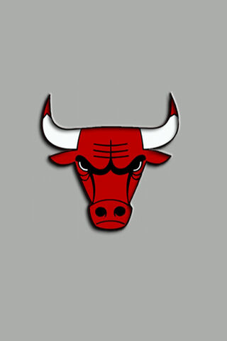 The Iconic Chicago Bulls Logo 🐂🏀