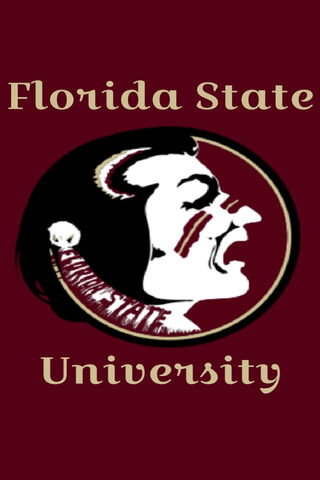 Pride of the Seminoles: Florida State University Spirit 🎓✨