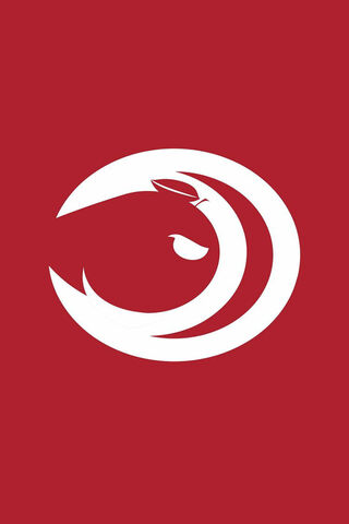 Harmonious Flight: The Lyrical Hawks