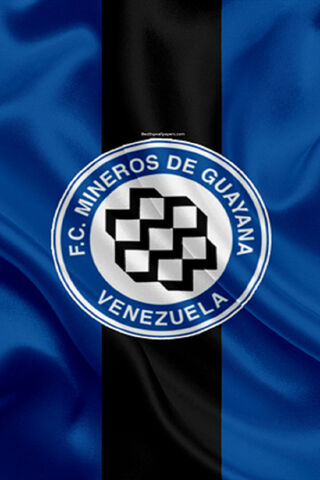 Pride of Guayana: The Mineros Flag 🇻🇪⚽