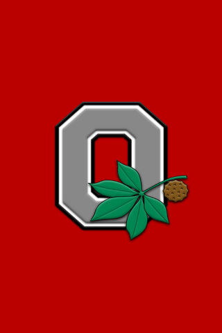 Ohio State Buckeyes