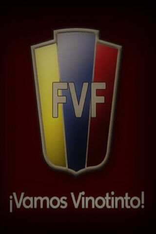 Cheering for Vinotinto: The Heart of Venezuelan Football! ⚽🇻🇪