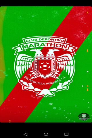 Spirit of the Marathon: A Legacy in Green and Red 🏆🇭🇳