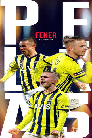 Fenerbahçe Pelkas