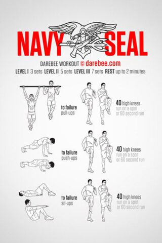 Ultimate Navy SEAL Workout Guide 💪🌊