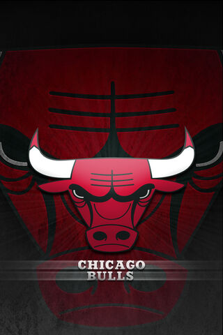 The Iconic Spirit of the Chicago Bulls 🏀🐂