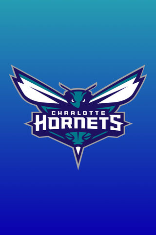 Buzzing with Team Spirit! 🐝🏀