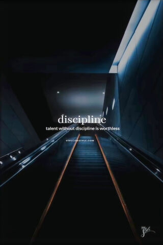 The Path to Success: Embracing Discipline