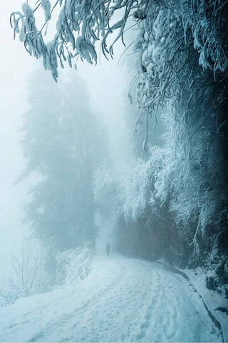 Winter's Embrace: A Journey Through the North ❄️🏔️