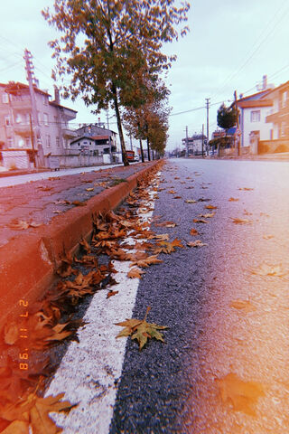 Autumn's Embrace 🍂