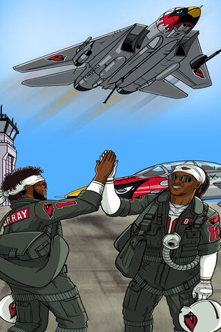 Soaring High with the Arizona Cardinals! 🦅✈️