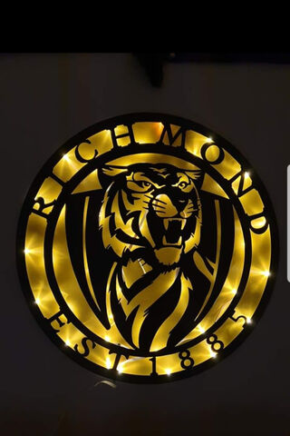 Roaring Pride: The Richmond Tigers Emblem 🐯✨