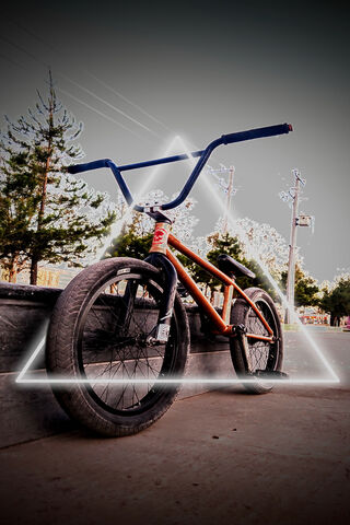 BMX Adventure Awaits! 🚴 ️✨