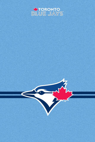 Cheering for the Blue Jays! 🐦🇨🇦