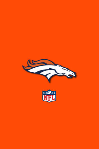 Broncos Spirit: A Touchdown of Team Pride! 🏈🐴