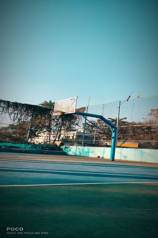 Hoops of Dreams: A Basketball Court Adventure 🏀✨