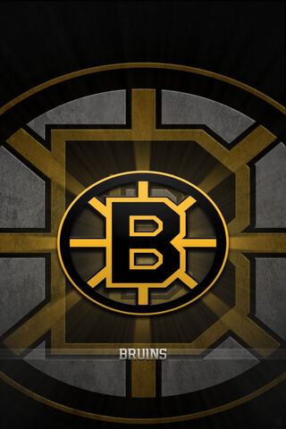 Boston Bruins: A Legacy of Ice Hockey Excellence 🏒✨