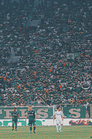 Bursaspor: A Sea of Green Passion! 🌟⚽