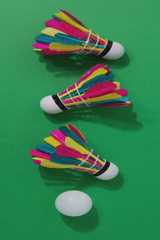 Shuttlecock Showdown: The Colors of Badminton 🎉🏸