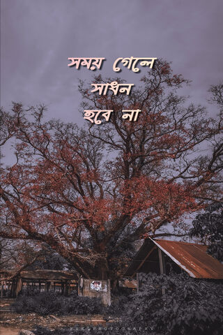 Bangla Saying