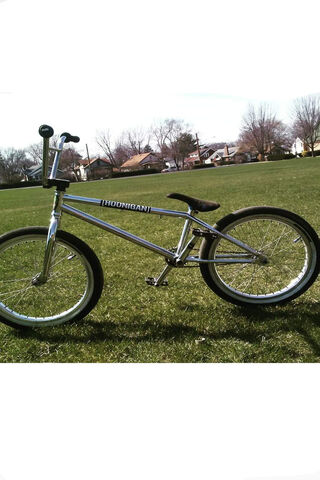 Ride the Freedom: BMX Adventures Await! 🚴 ✨