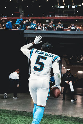 Carolina Panthers