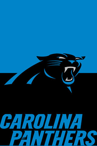 Fierce Spirit of the Carolina Panthers 🐾🏈