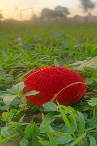 The Perfect Pitch: A Cricket Tennis Ball in Nature 🏏🌿