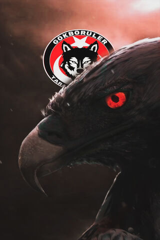 The Fierce Spirit of Corumspor 🦅⚽️