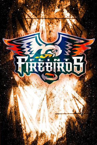 Igniting the Ice: Flint Firebirds Spirit! 🔥🦅