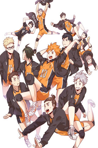 Haikyuu Karasuno