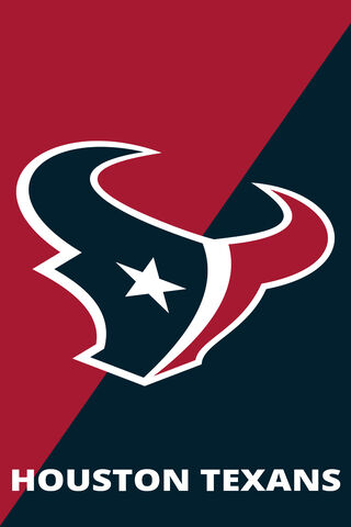 Houston Texans: Pride of the Lone Star State! 🏈🤠
