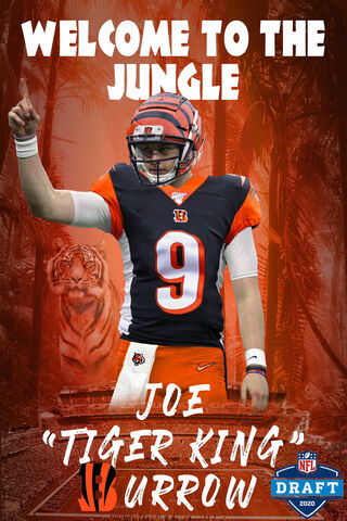 Welcome to the Jungle: Joe Burrow's NFL Journey 🐅🏈