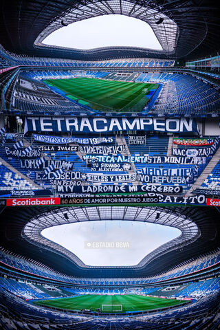 Rayados: A Celebration of Champions! 🏆⚽