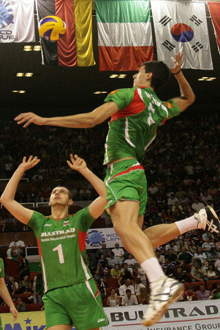 Soaring High: The Art of Volleyball